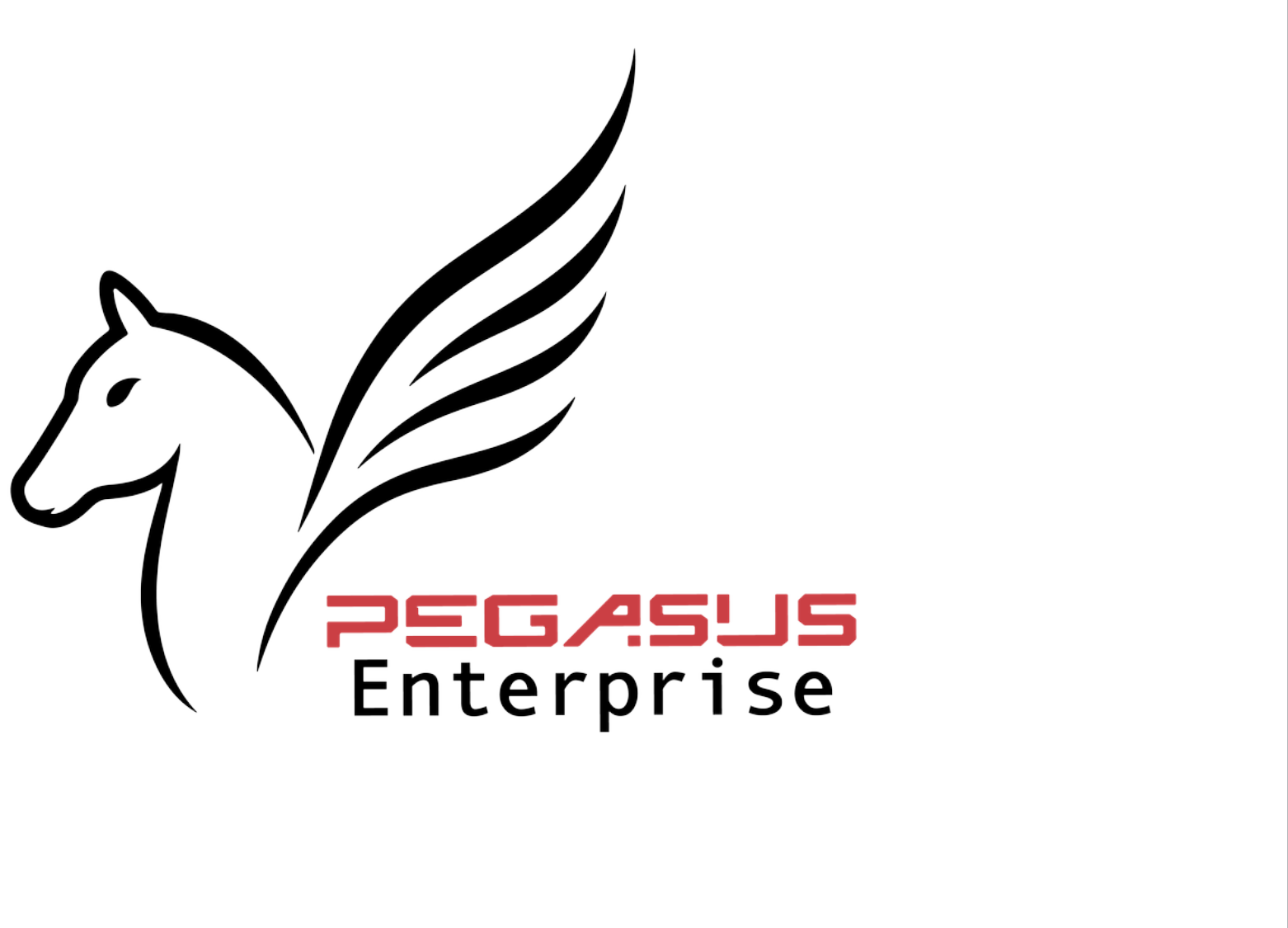 Pegasus Enterprise