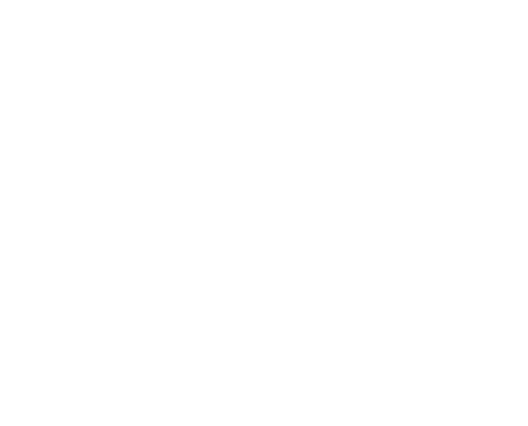 Pegasus Enterprise